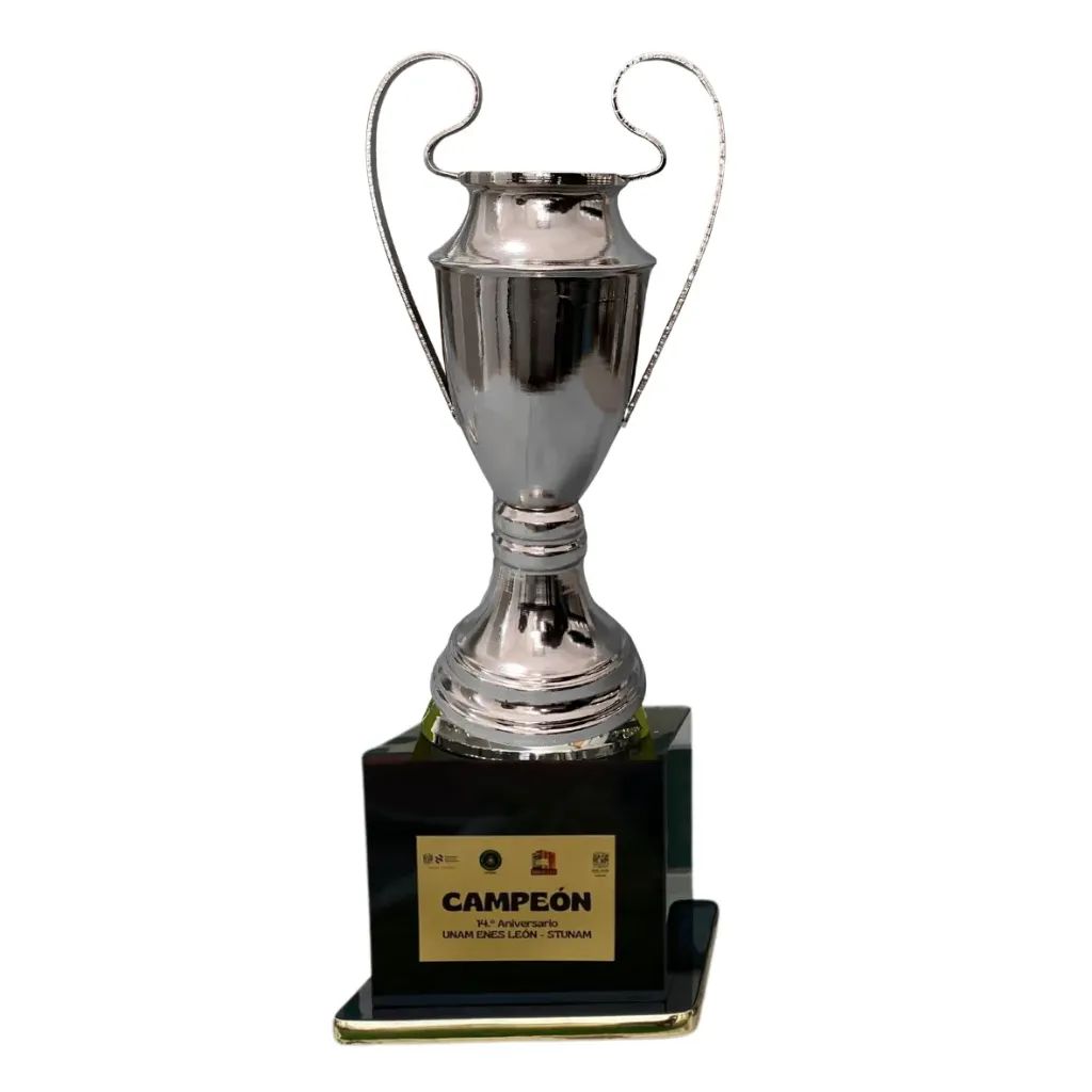 Copa Europea Lisa  Plata 36 cm