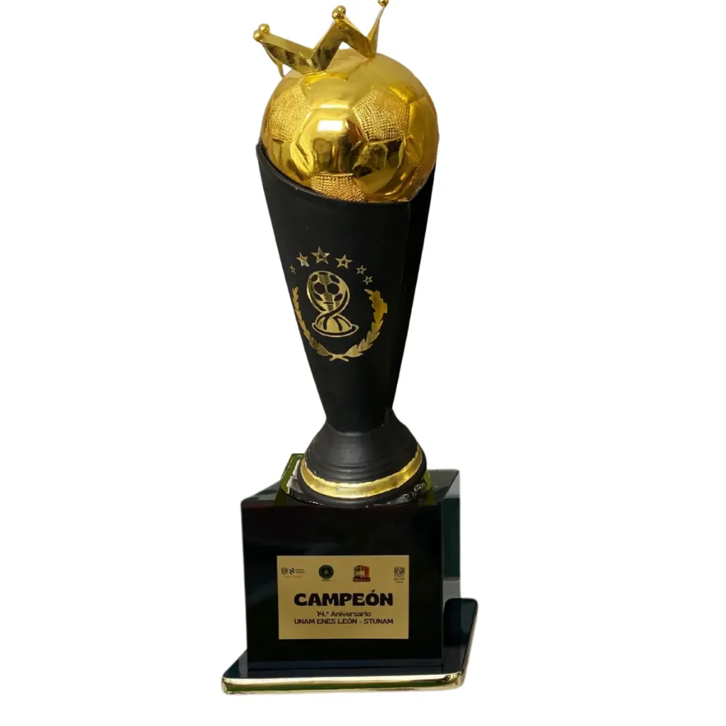 Cono Rey Negro 65 cm