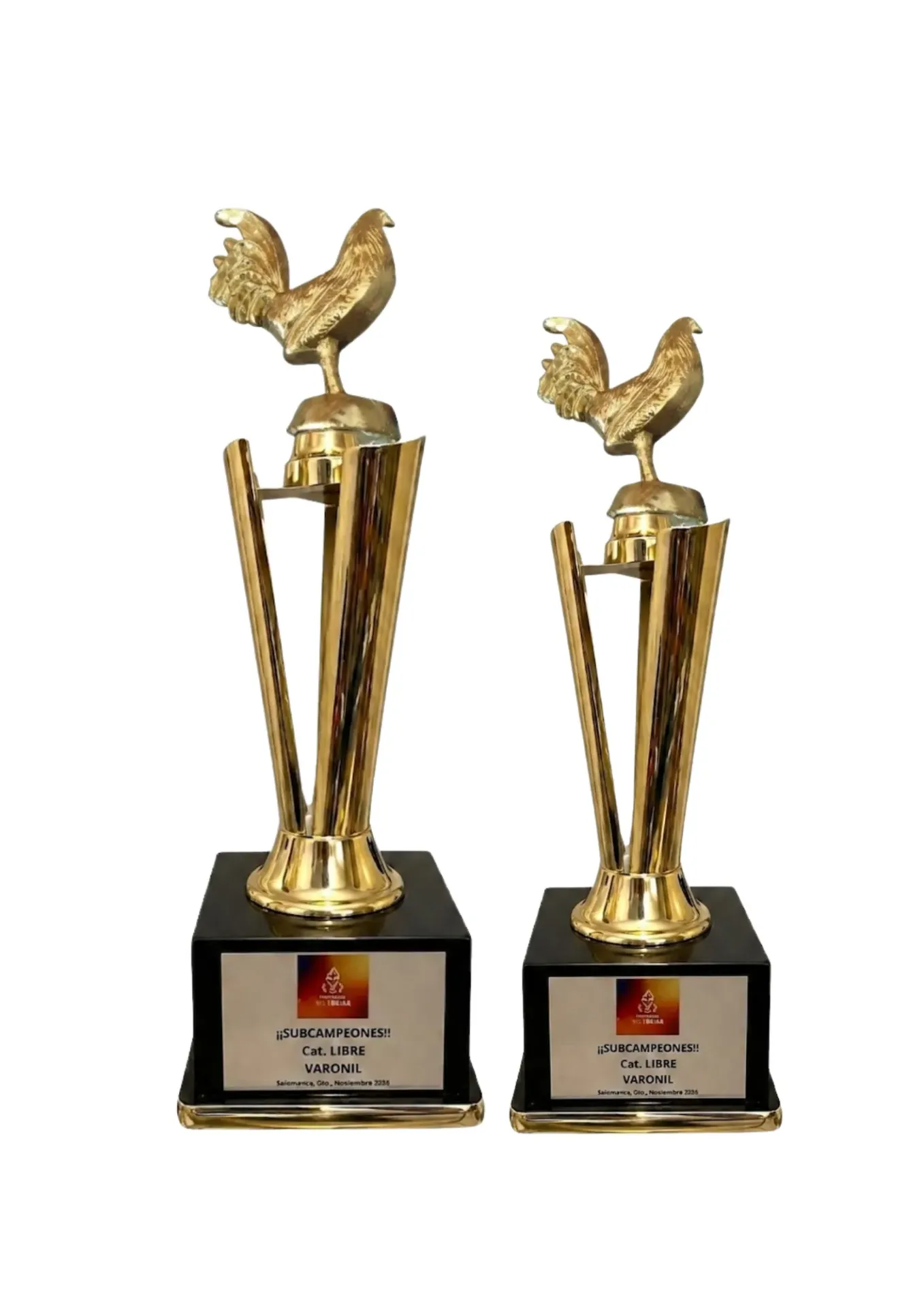 Antorcha Abierta Oro Gallos Dupla