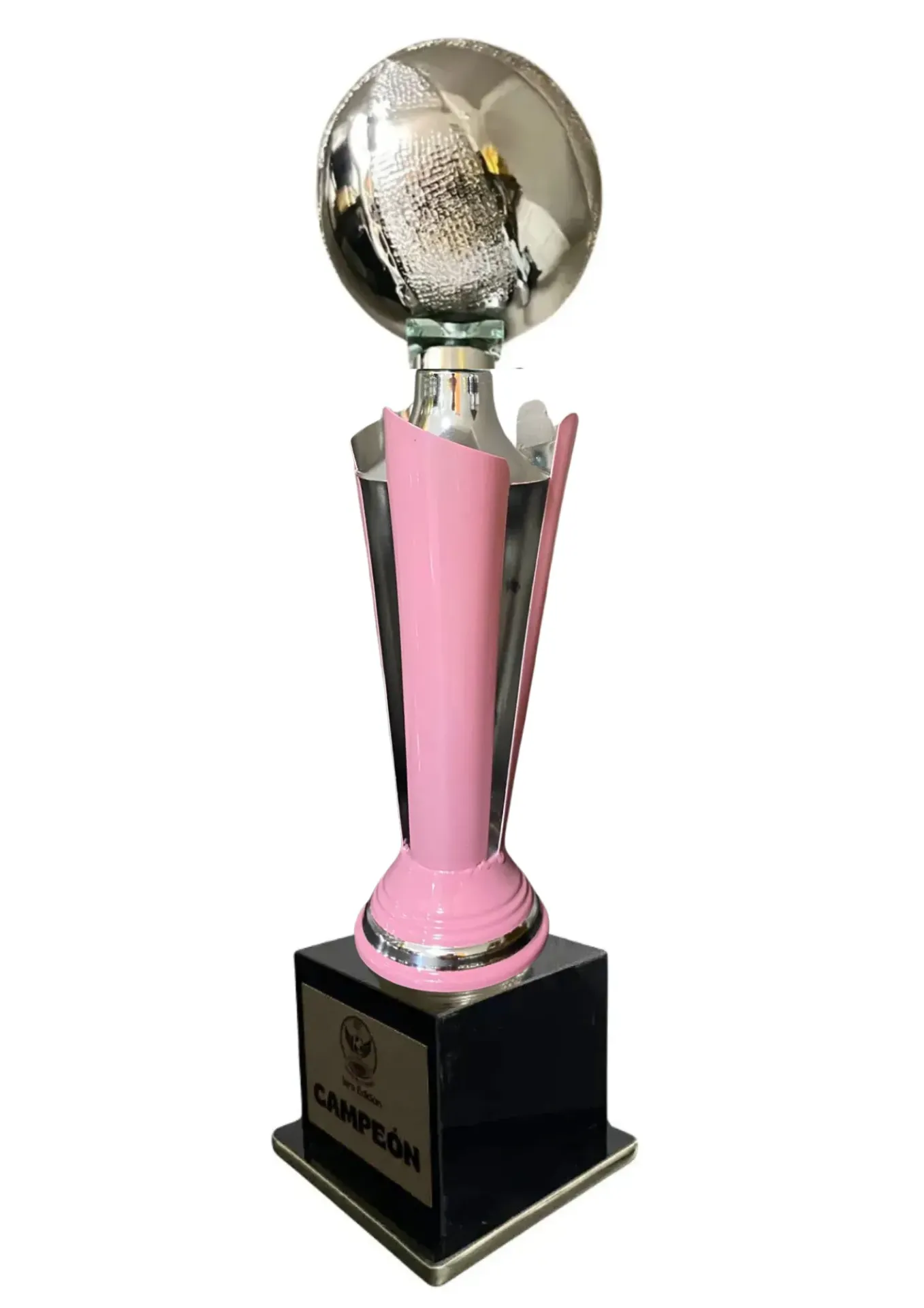 Antorcha Abierta Plata Con Rosa Basketbol 65 cm