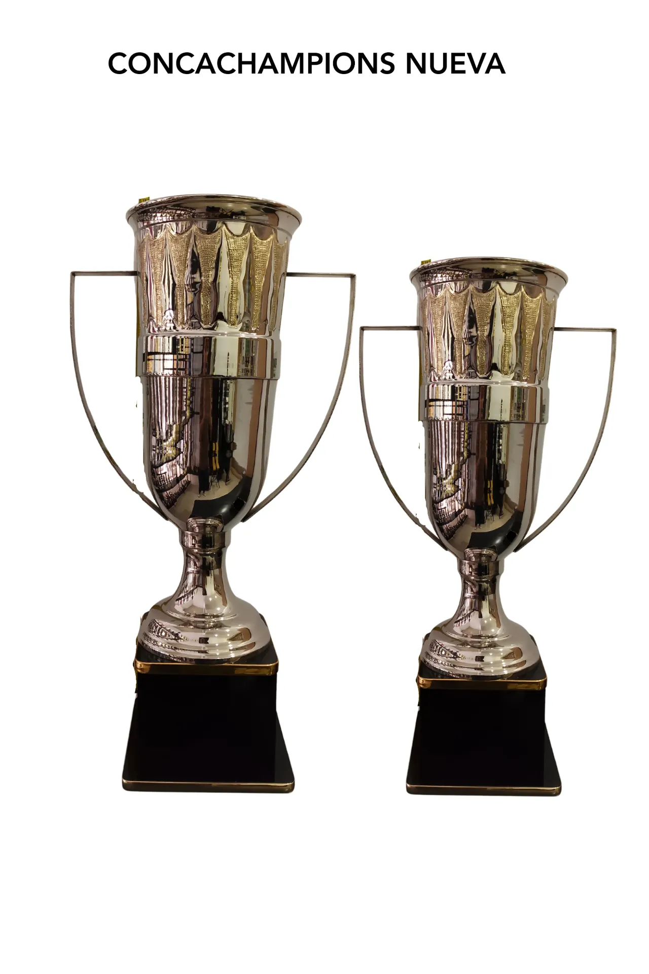 Dupla Copa Concachampions Nueva niquelada