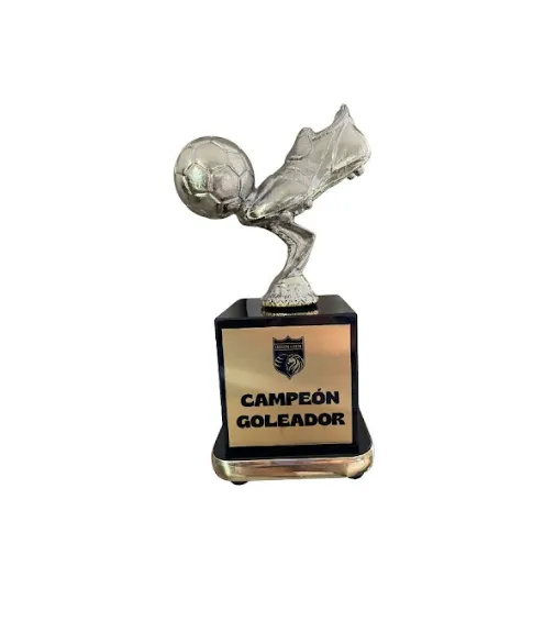 Goleador balon con zapato plata caja grande 35 cm