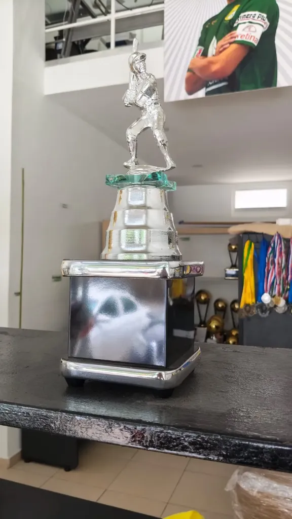 Mejor Bateador Plata 35 cm