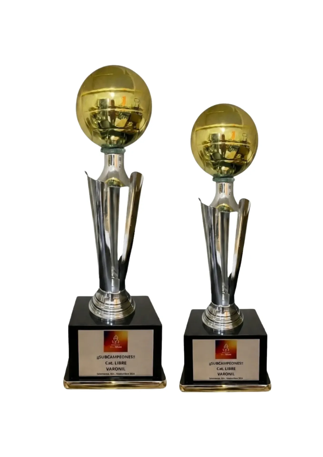 DUPLA ORO CON PLATA VOLEYBOL
