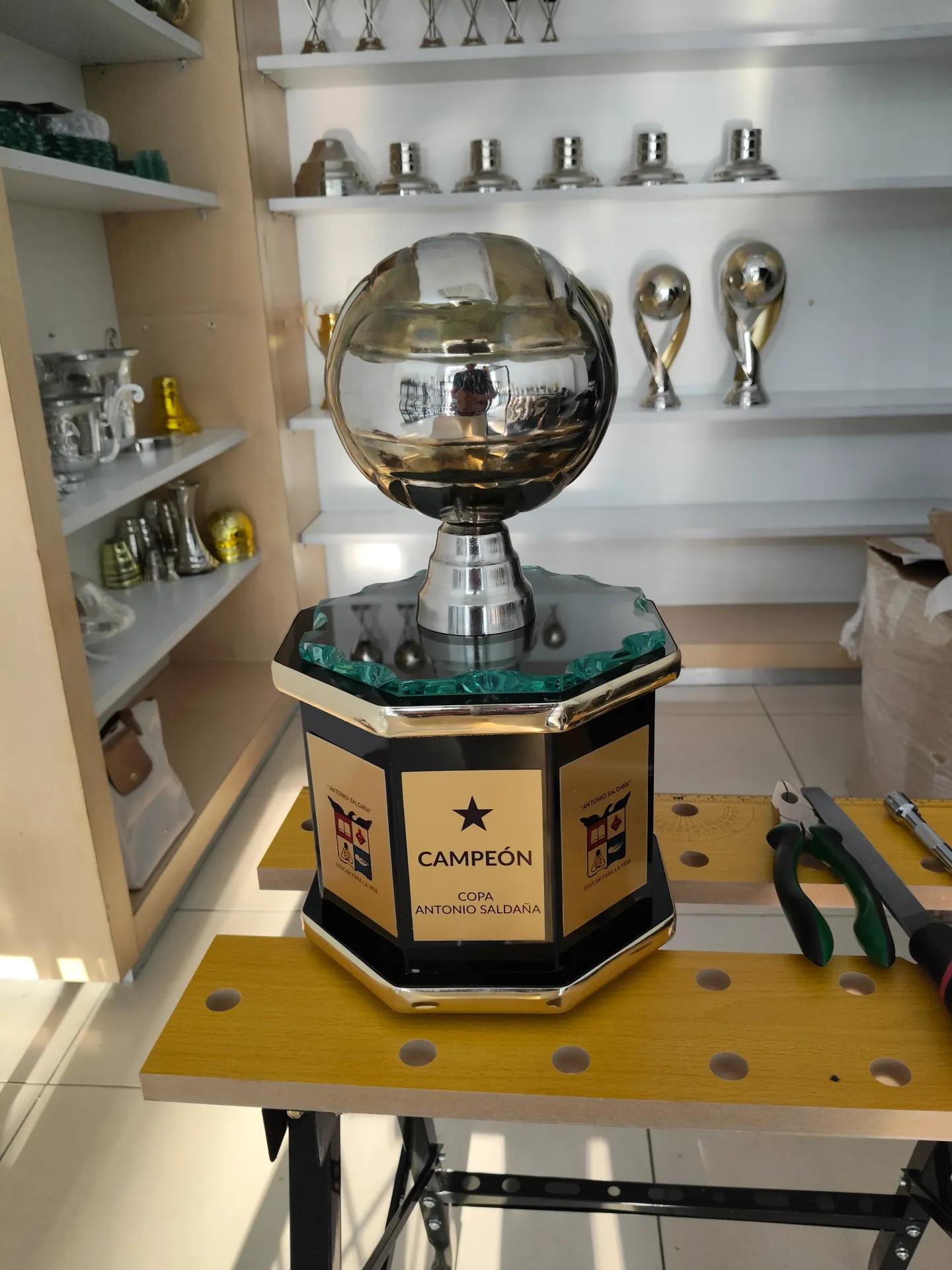 Balon de voleybol