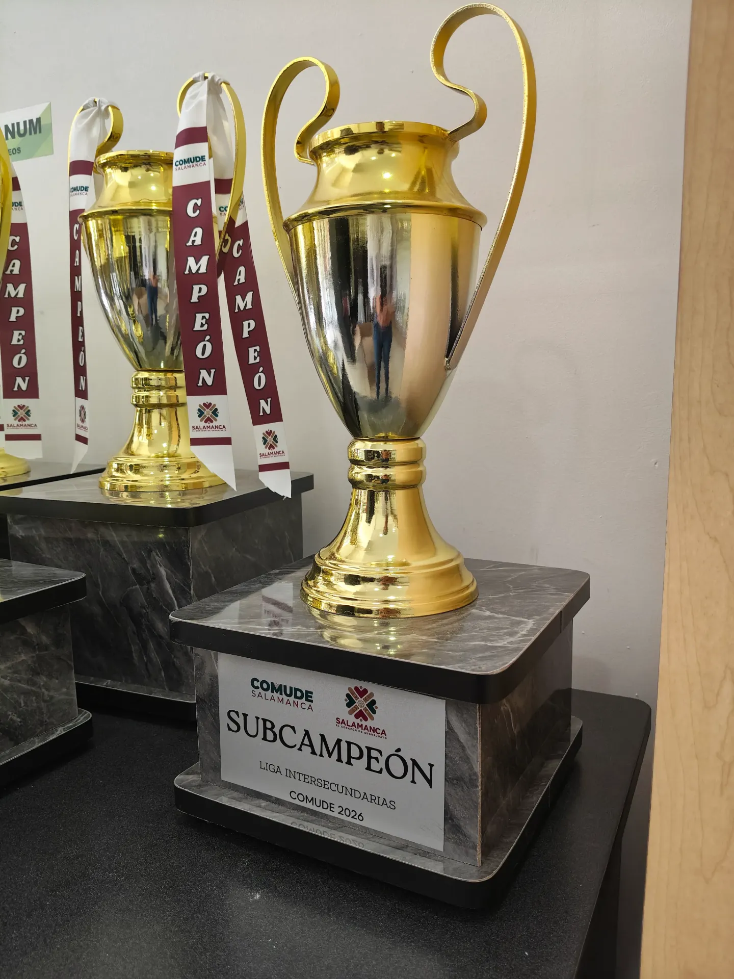 Copa Europea 2º Oro con plata