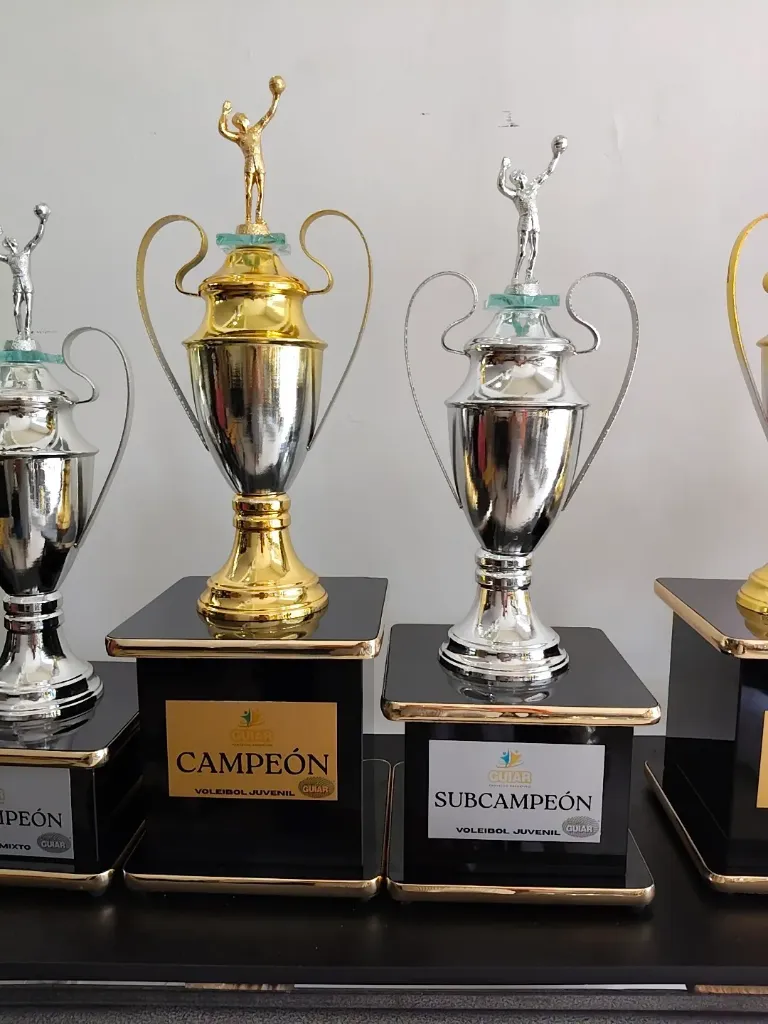 Copas Europeas Varias 1.23 con figura
