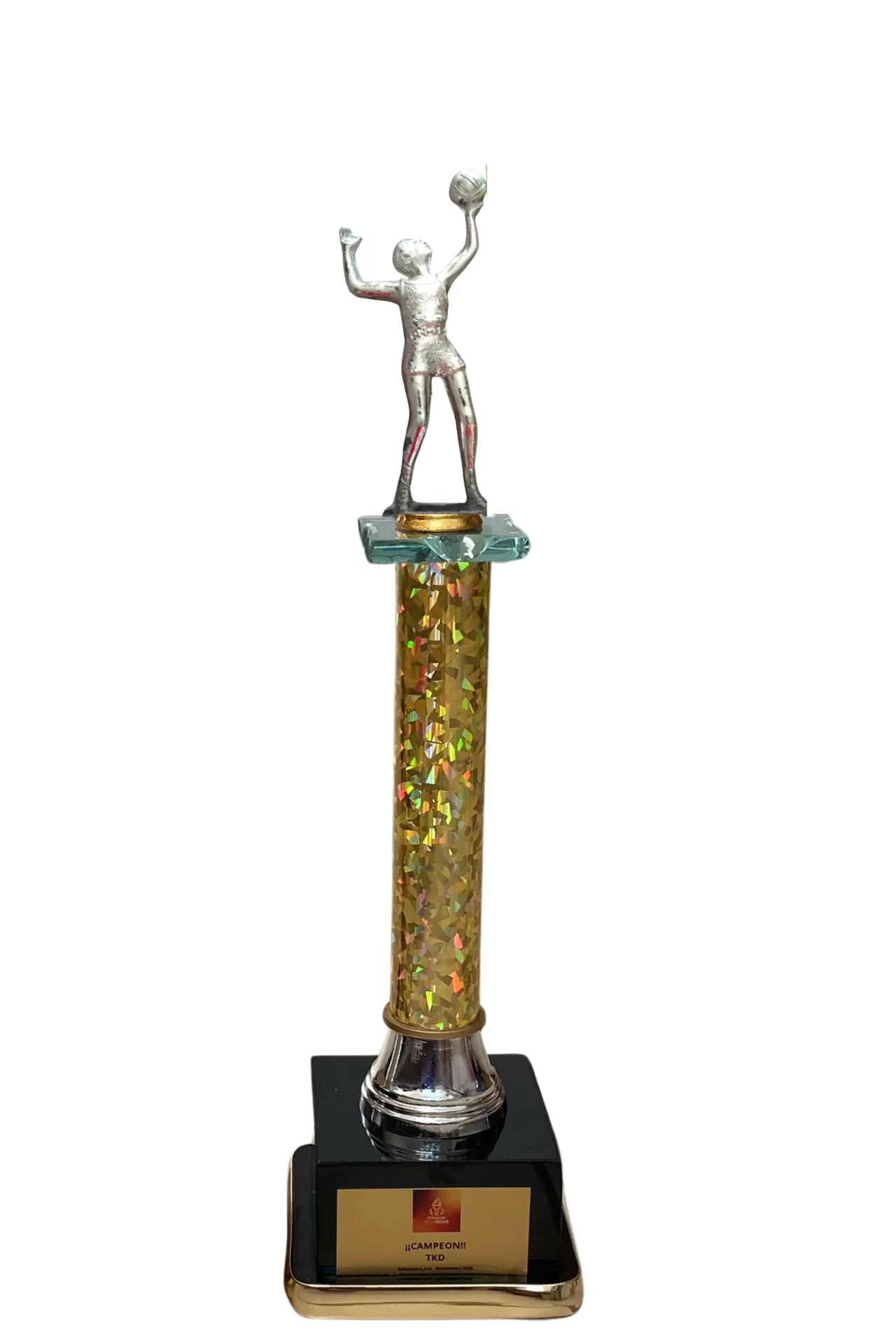 Individual 35 cm Voleybol 1