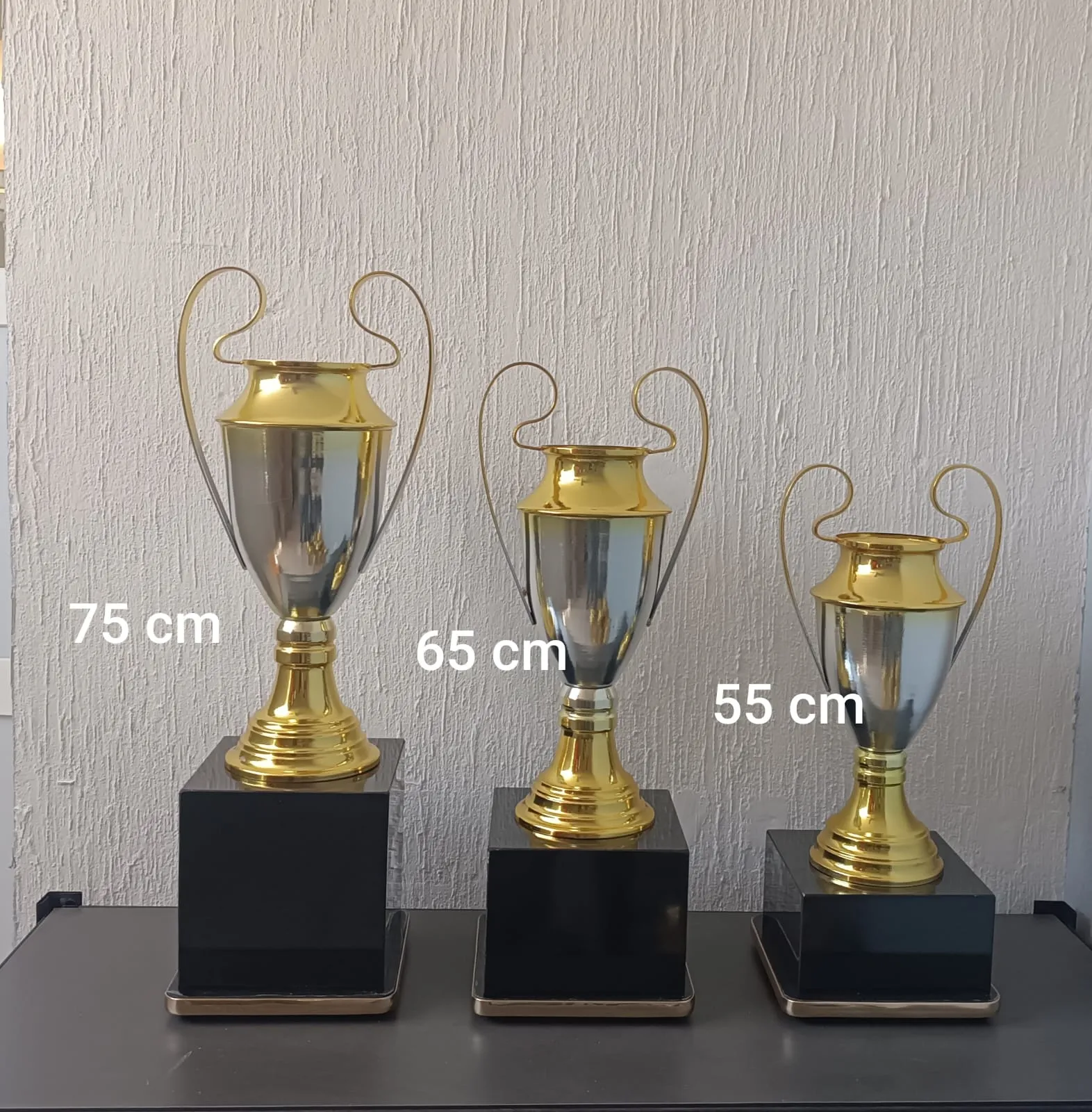 Copa Europea (Haz tu pedido aqui) (1º lugar, Grabado Oro con plata, Caja cuadrada, Con figura, Con listones)