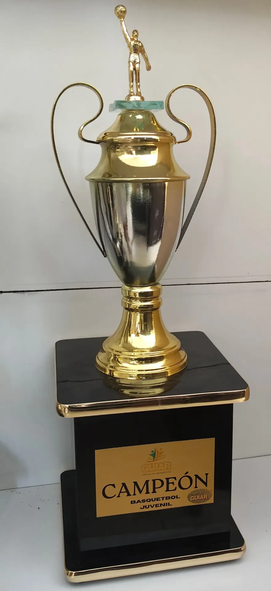 Copa Europea Lisa Oro con Plata c/ Figura