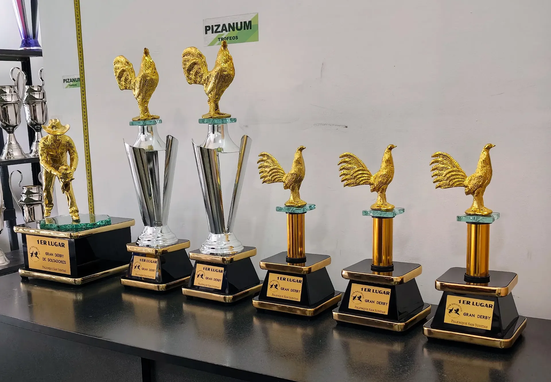 Muestra Gallos Trofeos Varios