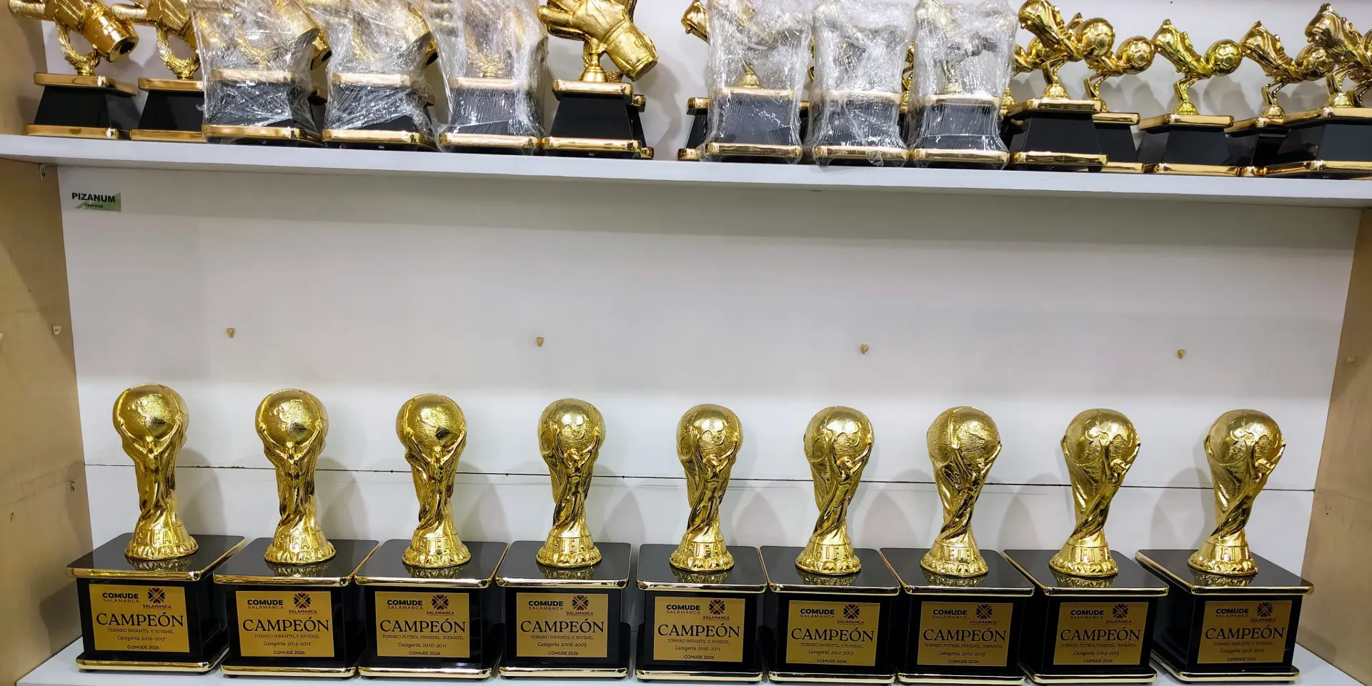 Muestra de Pedido: Copa del Mundo ORO, Campeon Goleador y Mejor portero ORO