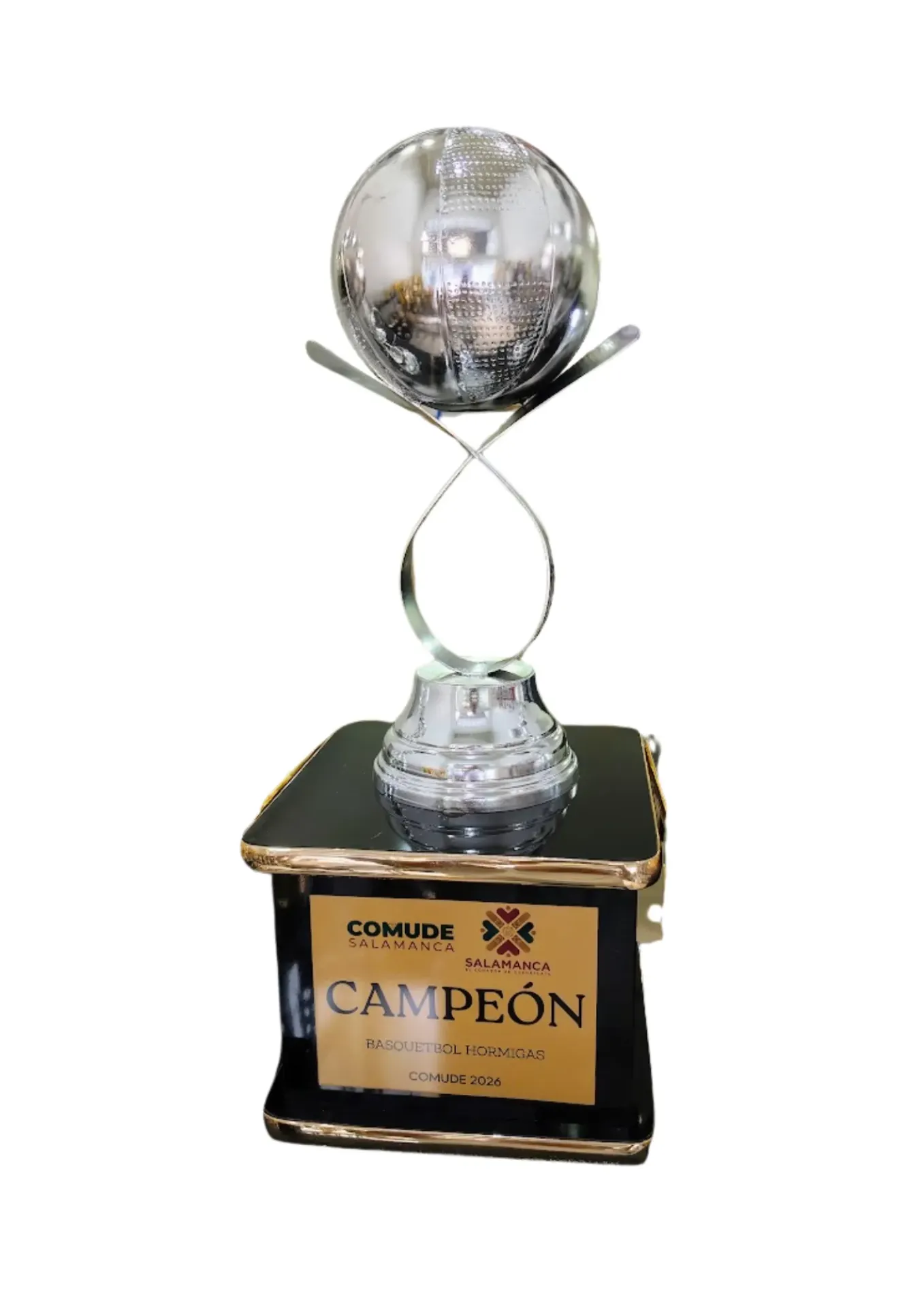 Ovalo Basketbol Plata