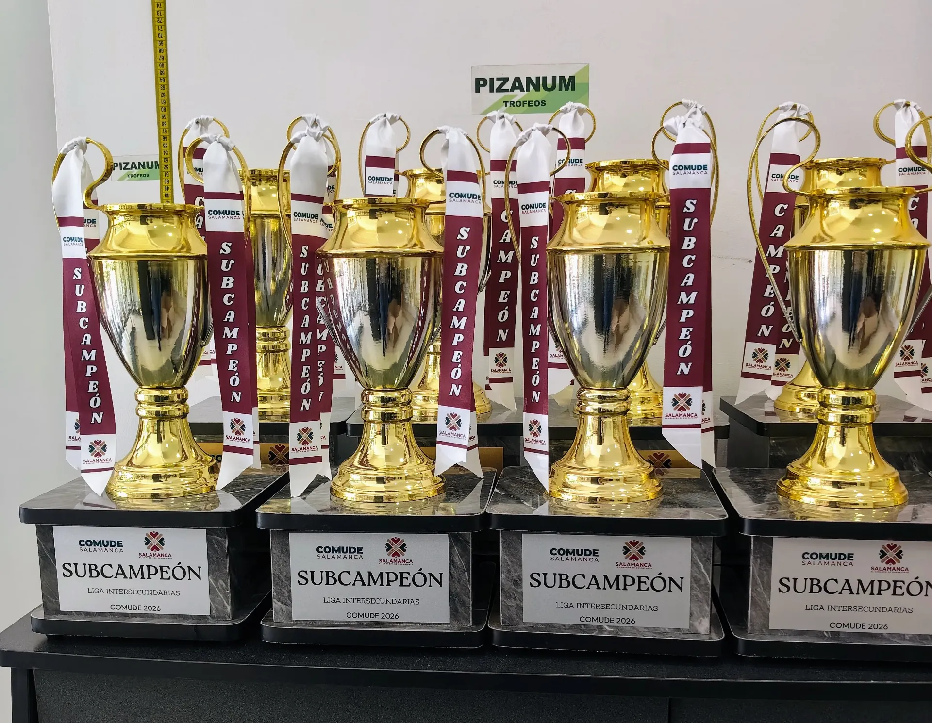 Muestra de Pedido: Copa Europea ORO con Plata en Caja Gris