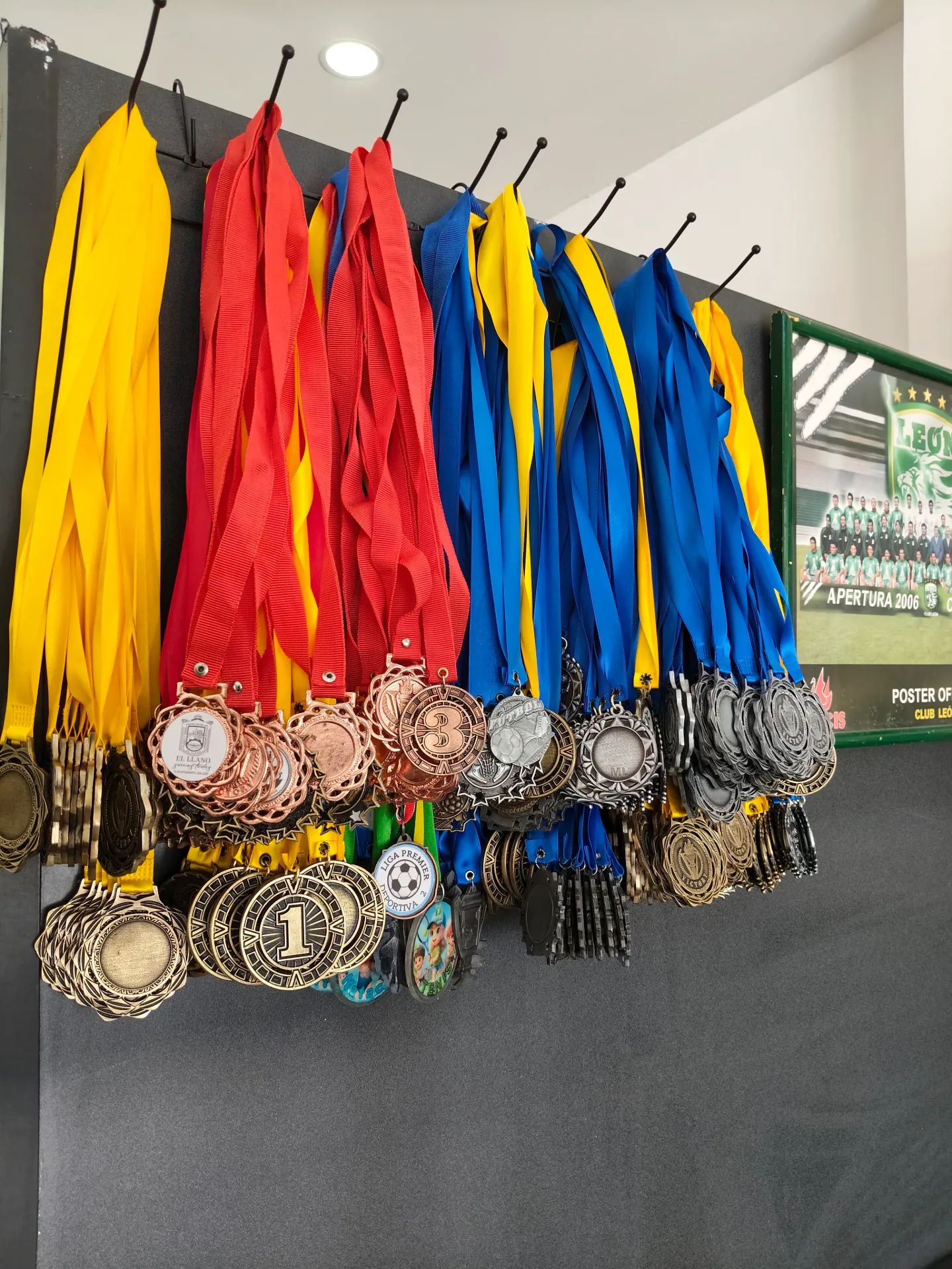 Muestras General Medallas