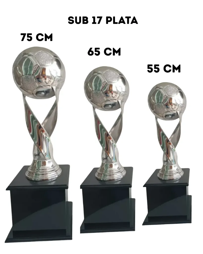 Quinteta Sub 17 plata