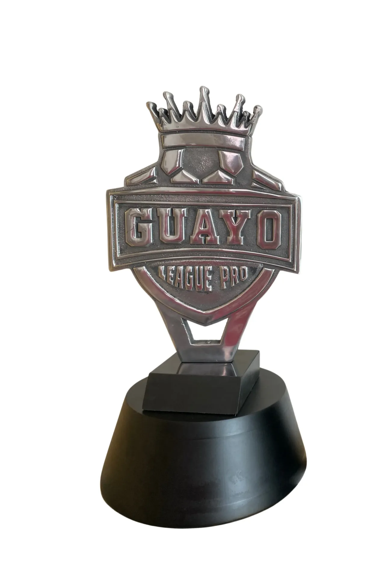 Escudo o logo personalizado plata 55 cm